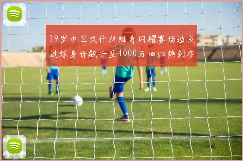 19岁中卫武什科维奇闪耀赛场造点进球身价飙升至4000万回归热刺在即