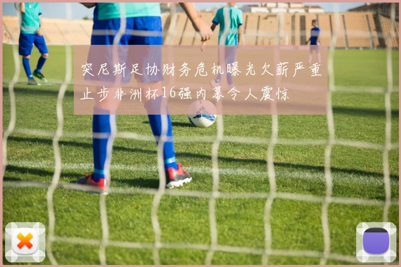 突尼斯足协财务危机曝光欠薪严重止步非洲杯16强内幕令人震惊