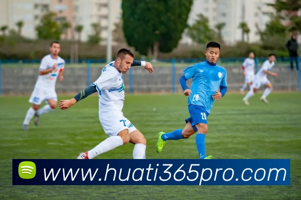 华体会体育发展历程